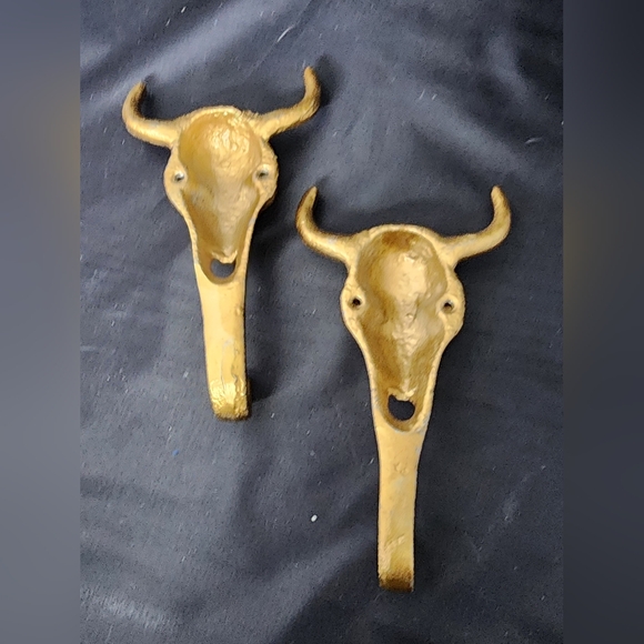 longhorn skull with horns Wall Hooks - Picture 4 of 12